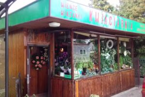 Siedlanowska Elżbieta. Kwiaciarnia