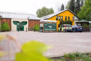 Sklep Ogrodniczy Tomaszewski | Rośliny Doniczkowe | Sklep online