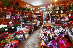 Słonecka Agata. Kwiaciarnia