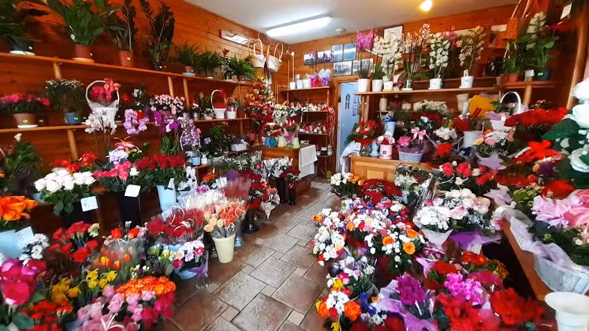 Słonecka Agata. Kwiaciarnia