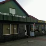 Słonecznik Kwiaciarnia