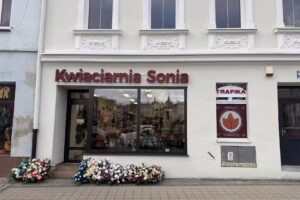 Sonia Kwiaty – „Chróścina”