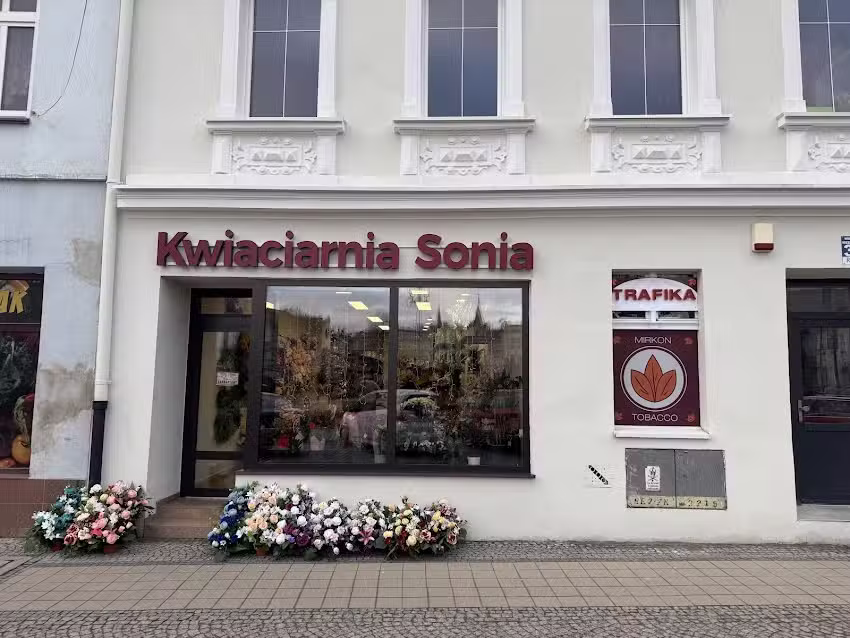 Sonia Kwiaty – „Chróścina”