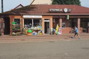 Stokrotka. Kwiaciarnia