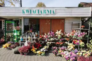 Stokrotka. Kwiaciarnia. Pieniek M.