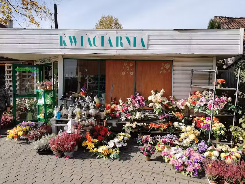 Stokrotka. Kwiaciarnia. Pieniek M.