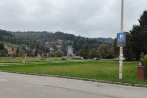 Stokrotka. Kwiaciarnia. Rudzicki A.