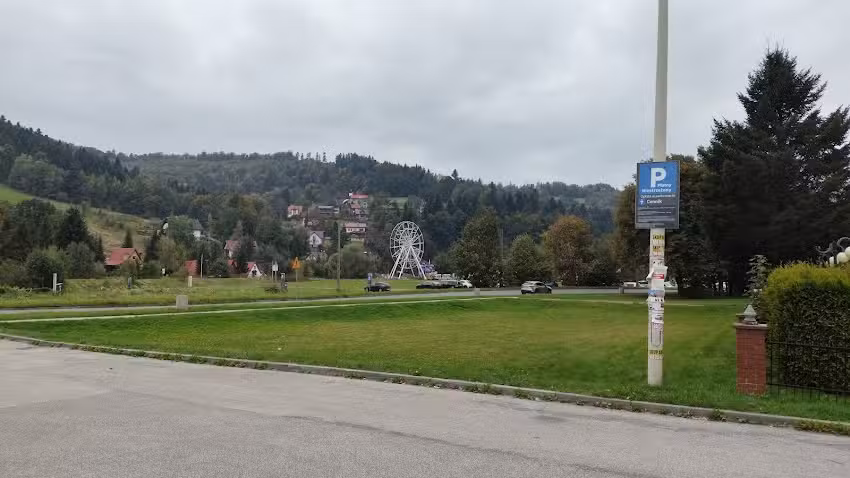 Stokrotka. Kwiaciarnia. Rudzicki A.