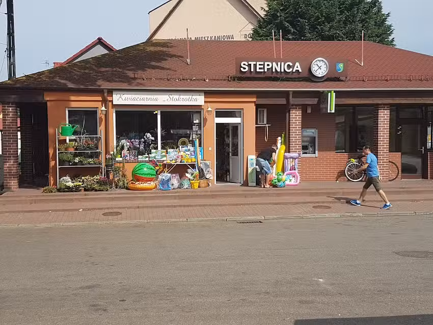 Stokrotka. Kwiaciarnia