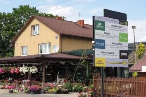 Stokrotka33 Kwiaciarnia