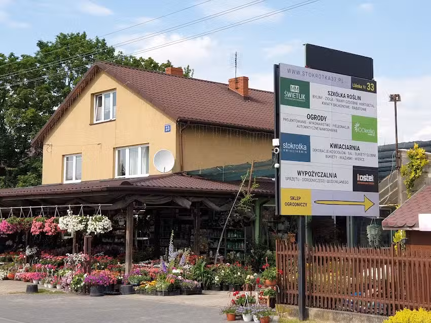 Stokrotka33 Kwiaciarnia