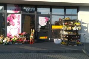 Storczyk. Kwiaciarnia-Florystyka