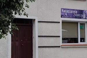 Storczyk. Kwiaciarnia. Imbierowicz K.