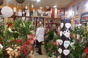 Strelicja Kwiaciarnia