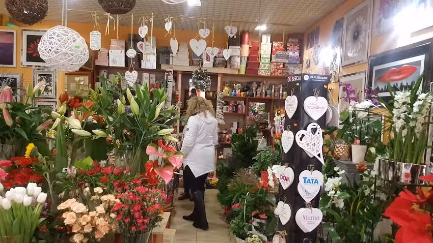 Strelicja Kwiaciarnia