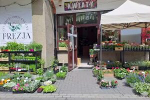 Studio florystyczne „Frezja”