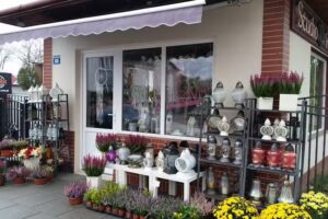 Studio Kwiaciarnia-Florystyka i Dekoracje