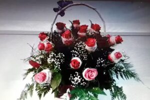 Świat Kwiatów „Ewa”