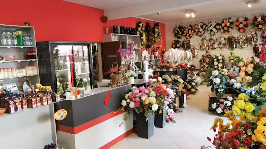 Świat Kwiatów-Płomyczek