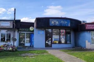 Symfonia Zieleni Anna Knap