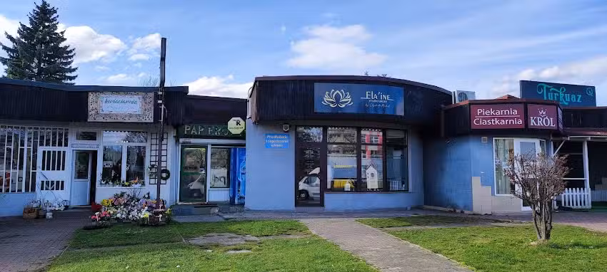 Symfonia Zieleni Anna Knap