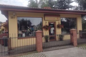 Szafrańska Małgorzata. Kwiaciarnia