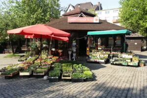 Telekwiaciarnia Kraków – florystyczna poczta, kwiatowa dostawa