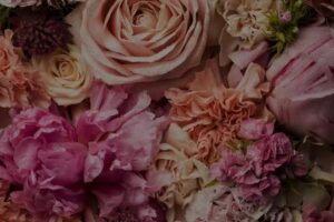 TOMA TORG KWIACIARNIA