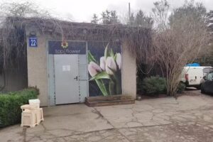 Top Flower hurt-detal kwiatów Piotr Wroński