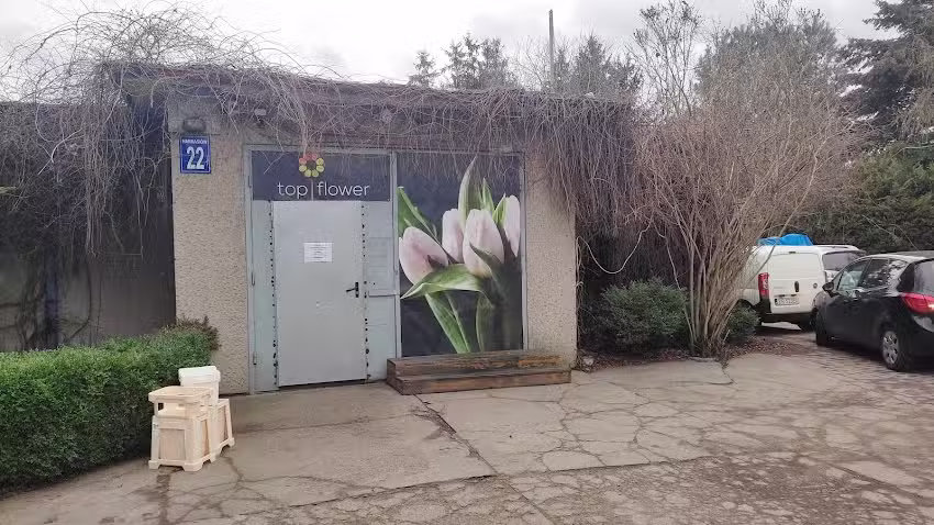 Top Flower hurt-detal kwiat&oacute;w Piotr Wroński
