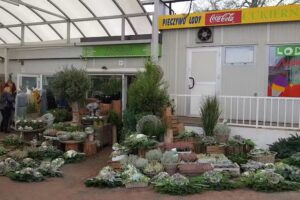 Toskana. Kwiaciarnia