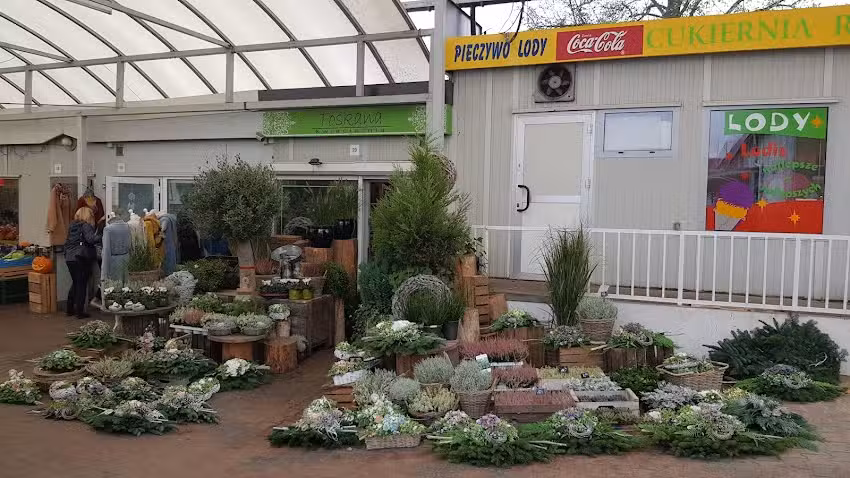 Toskana. Kwiaciarnia