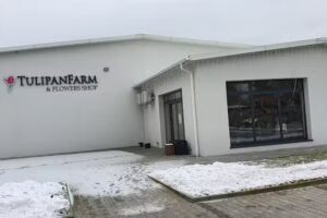 Tulipan Farm & Flowers Shop Kwiaciarnia