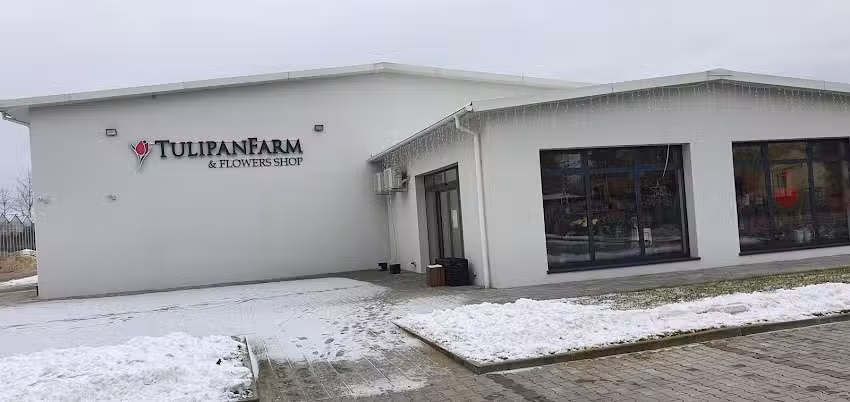 Tulipan Farm & Flowers Shop Kwiaciarnia