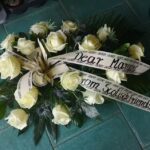 Tulipan. Kwiaciarnia