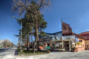 Tulipan. Kwiaciarnia. Lekan L.