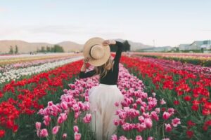 TuliPan Panią – świeże kwiaty prosto z lokalnego gospodarstwa!