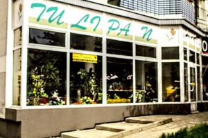 Tulipan pracownia florystyczna