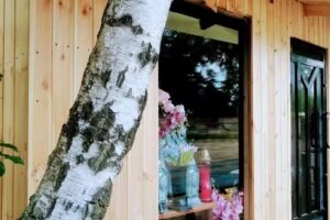 U Bożeny Kwiaciarnia