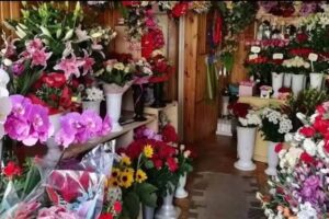 Usługi Pogrzebowe – Kwiaty na każdą okazję – Kwiaciarnia