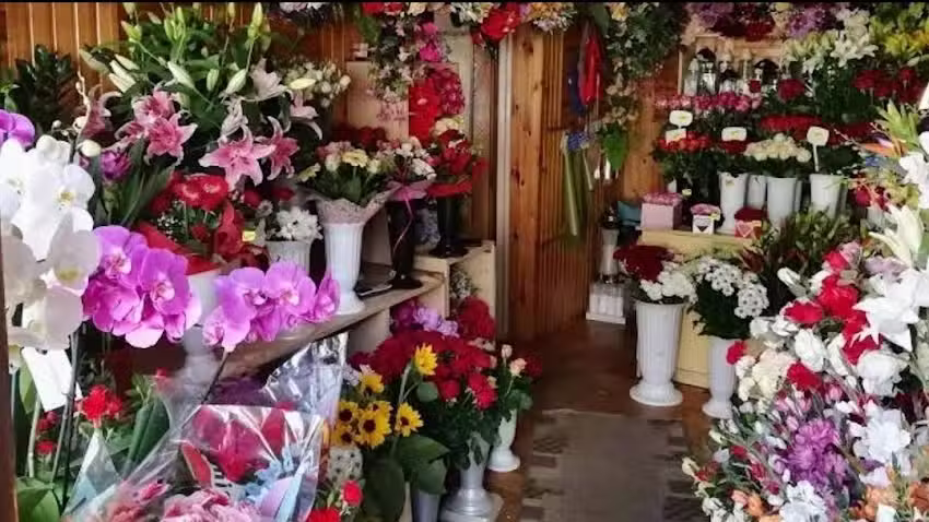 Usługi Pogrzebowe – Kwiaty na każdą okazję – Kwiaciarnia