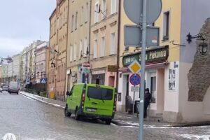 Wedmańska Danuta. Kwiaciarnia