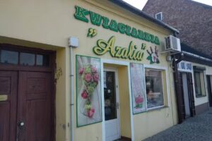 Werner Jolanta. Kwiaciarnia