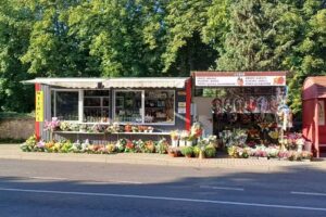 Wieńce Pogrzebowe Żywe & Sztuczne