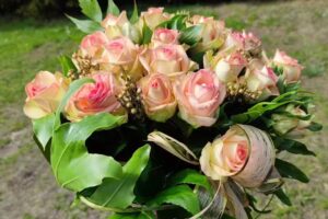 Wiktorowicz Leszek. Ogrodnictwo