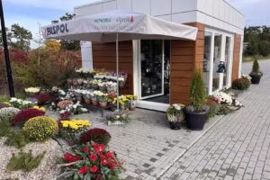 Wiła Wianki Kwiatowe Atelier Dorota Januszewska