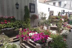 Wrembel Janusz. Kwiaciarnia