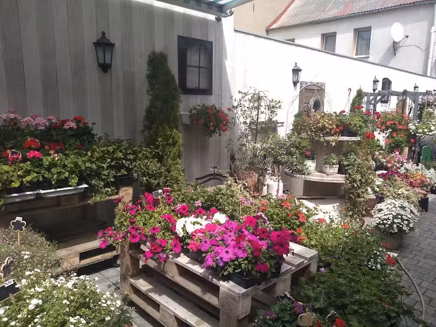 Wrembel Janusz. Kwiaciarnia