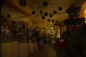 Wrzosek Eliza. Studio florystyczne