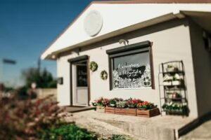 Z Głową w Kwiatach Kwiaciarnia & Florystyka Klaudia Antkiewicz